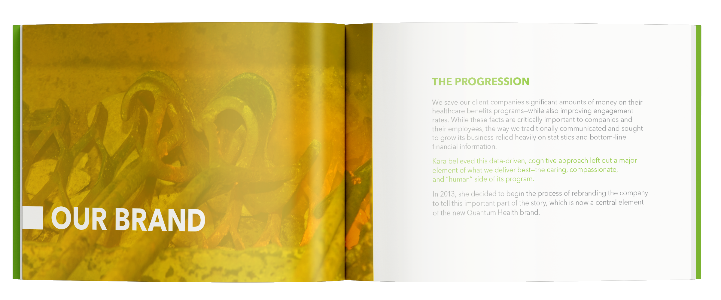 QuantumHealth_brandguide_1